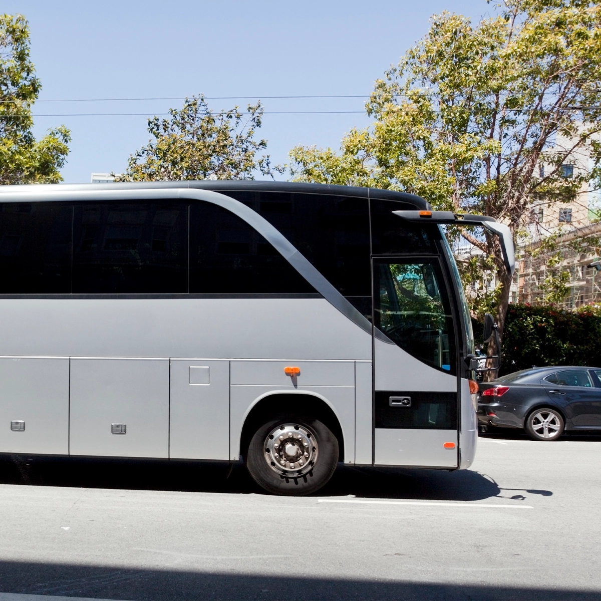 Bus transport network connectivity